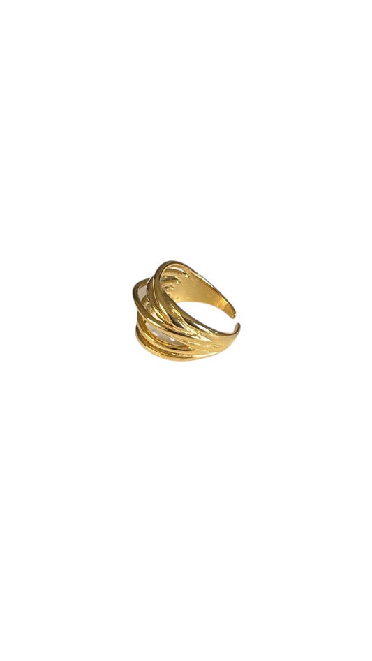 Anello Intreccio